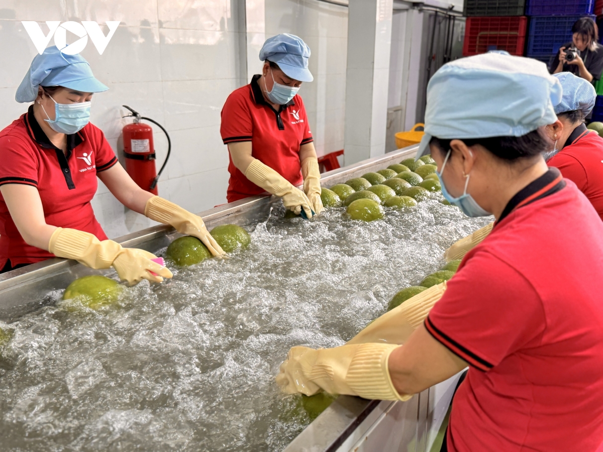 Doanh nghiệp khởi nghiệp xanh cùng ra biển lớn